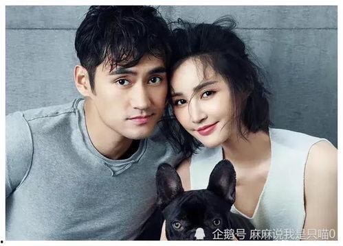 娱乐圈吃瓜爆料网剧有哪些